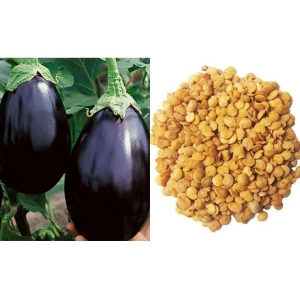 Vegetable Seeds - 1 Packet Brinjal Seeds Chhoti Ram