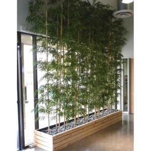 Bamboo Seeds - Mix Colorful Garden Bamboo Combo Pack 10 Gram