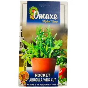 HERB Seed - 1 Packet ROCKET ARUGULA WILD CUT Omaxe Seeds By Savyata Stores For Kitchen Garden