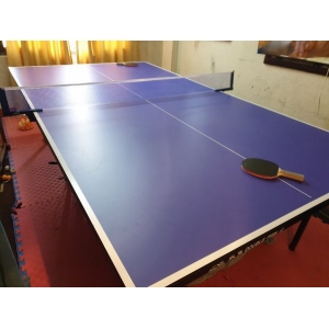 Table tennis/Ping Pong Table Foldable Nonewheeled By Mitrata