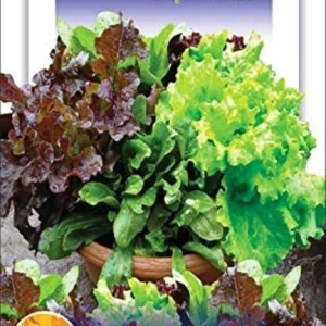 6 Types Of Lettuce Seeds Mixed 120 Plus Seeds (Lettuce Imported Mix (Misticanza) Exotic Seeds)