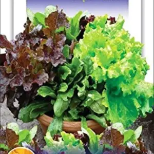 6 Types Of Lettuce Seeds Mixed 120 Plus Seeds (Lettuce Imported Mix (Misticanza) Exotic Seeds)