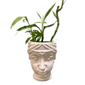 4.5 Inch Beautiful Queen Faced Pot Head Planter For Home Office Desk Balcony Decor
