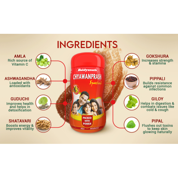 Baidyanath Chyawanprash Special 500 gm - Image 3