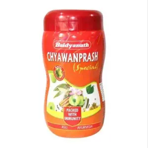 Baidyanath Chyawanprash Special 500 gm