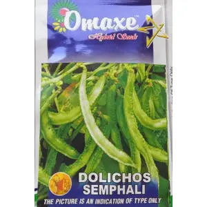 Vegetable Seeds - Chaumase Dolichos Semphali Bean Seeds 10 Gram