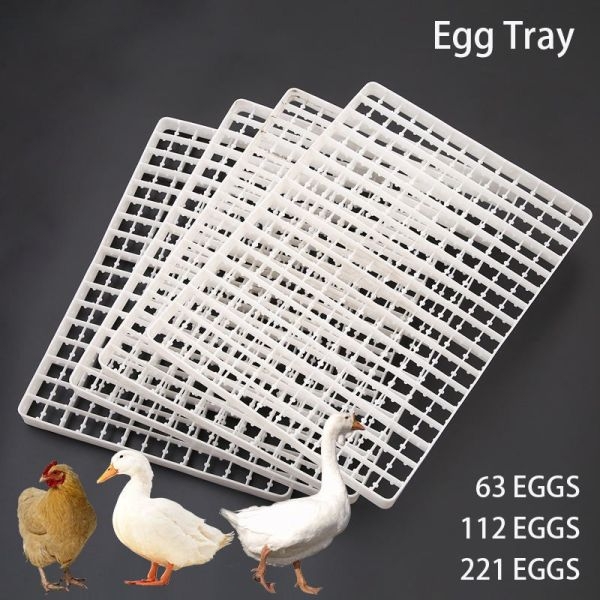 Pigeon Incubator Tray - Image 3