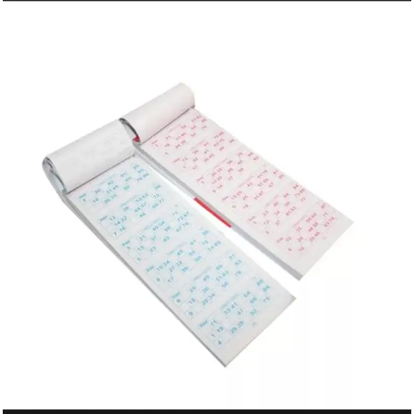 Bingo Ticket ( Pack Of 2 ) - Image 3