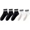 Bles Stripe Solid Socks - Striped and Solid Socks