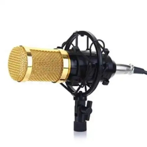 BM 800 Condenser Microphone with Shock Mount for Studio Recording