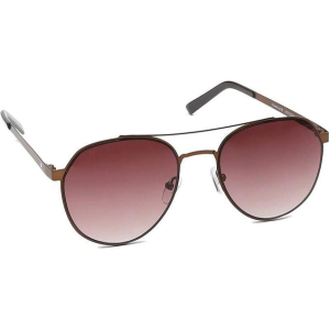 Brown Aviator Men Sunglasses