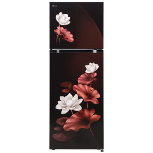 LG 265 Liter Double Door Refrigerator