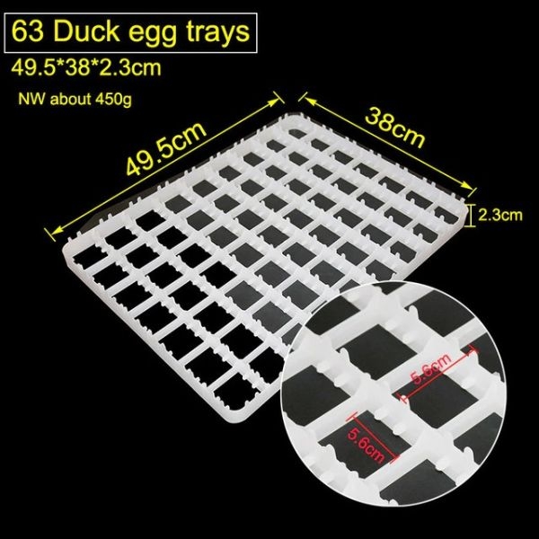 Pigeon Incubator Tray - Image 2