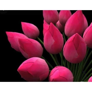 Welcome New Year 2080 With Good Luck Lotus Flower Seeds - 6 Seeds For Prosperity And Positive Energy (Plant Main Door)