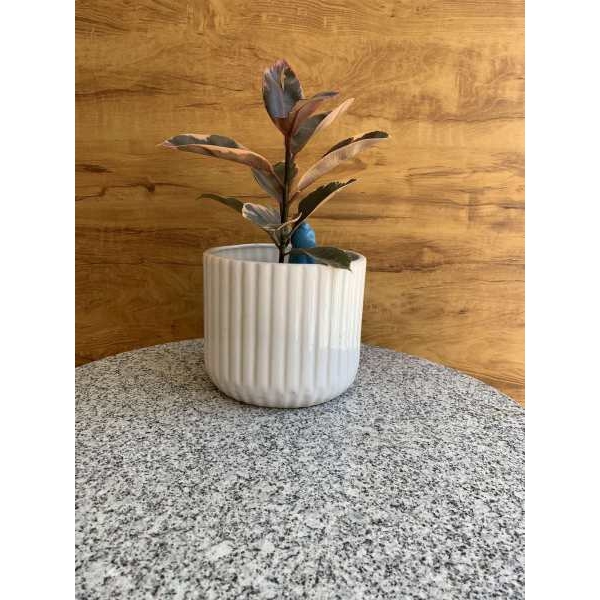8 Inch White Cylindrical Ceramic Pot For Indoor Outdoor Garden - Image 3
