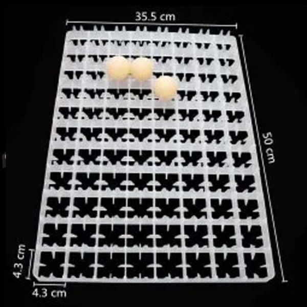 Incubator Eggs Tray Chicken - Image 3