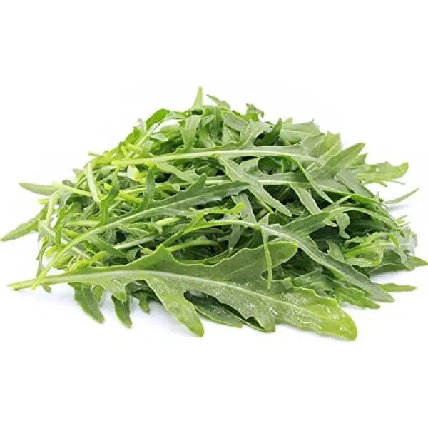 HERB Seed - 1 Packet ROCKET ARUGULA WILD CUT Omaxe Seeds By Savyata Stores For Kitchen Garden - Image 2
