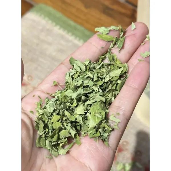 Caffeine Free Moringa Tea For Overall Wellbeing, Healthy Digestion And Weight Loss - 50GMS Kraft Pack - Suiro Teas - Image 3