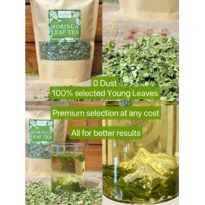Caffeine Free Moringa Tea For Overall Wellbeing, Healthy Digestion And Weight Loss  - 50GMS Kraft Pack - Suiro Teas