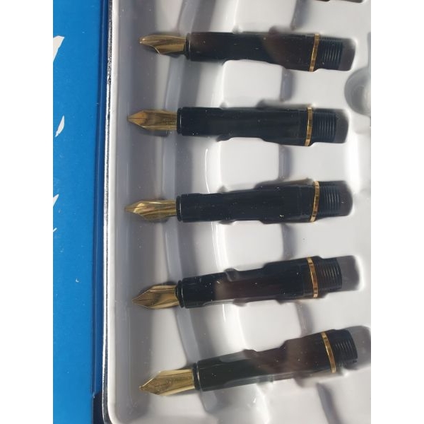 Caligraphy Pen with Six Different Size Nib - Image 2