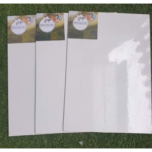 Canvas Board Professional Quality 14X20 Inch (Set Of 3) By Mitrata