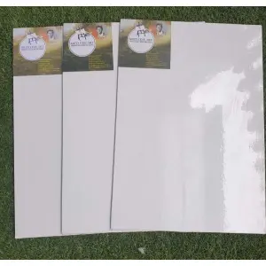 Canvas Board Professional Quality 14X20 Inch (Set Of 3) By Mitrata