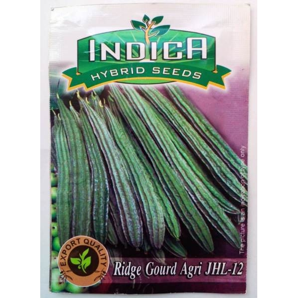Fresh vegetable Seeds 1 Packet Loose Seed - Ridge Gourd Seeds / Jhigaani Seeds - Image 2