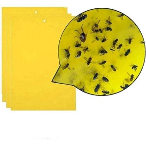 2Pcs Yellow Sticky Traps For Insects / Glue Traps / Whiteflies Thrips For Garden and Farms