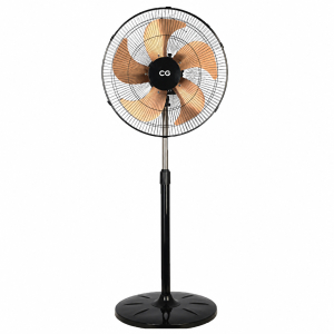 CG 18 Inch Stand Fan