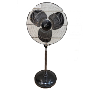 CG 20 Inch Farrata Fan