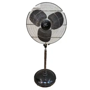 CG 20 Inch Farrata Fan