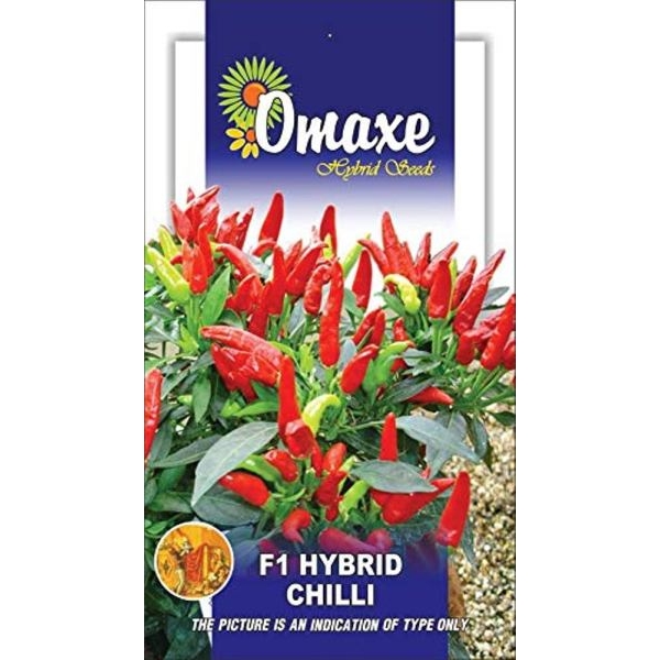 Chilli Seeds - Chilli Pepper F1 Thai Skyline Vegetable seeds Pack 20 Plus Loose Seeds - Image 2