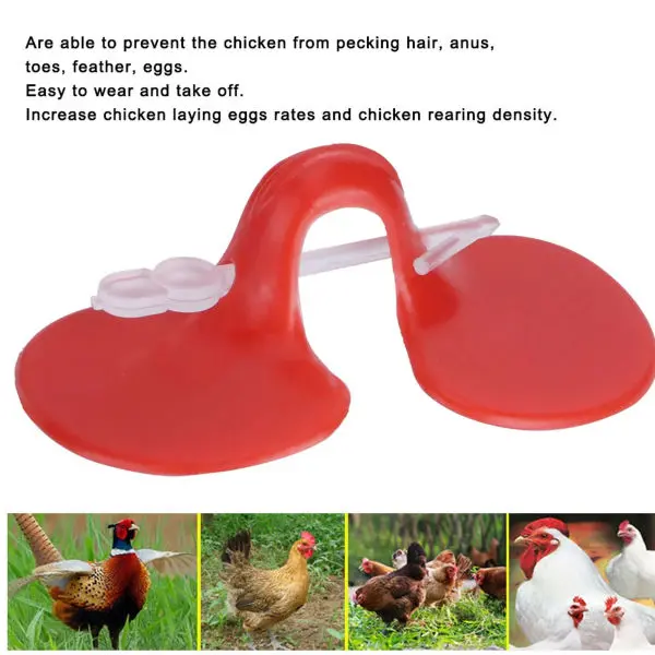 Birds Eye Blinder Pin 100Pcs For Chicken Eye Glasses - Image 3