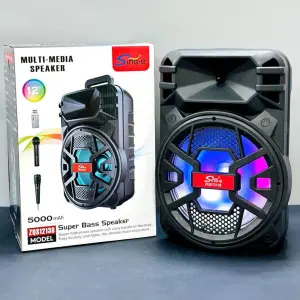 12 Inch Outdoor Portable Speaker system Powered BT DJ Party Speaker
