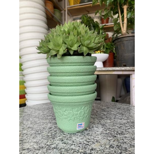 5Pcs 5 Inch Beautiful Sunny Pot For Home Or Garden - Image 4