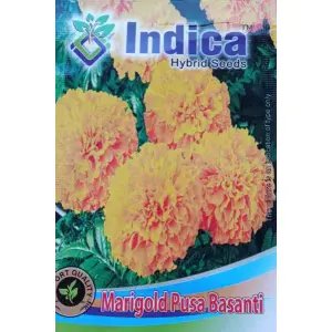 Flower Seeds - 1 Packet Marigold Hybrid Seeds Pusa Basanti 50 Plus Seeds