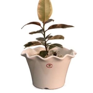 11 Inch Flower Pot / Planter For Indoor Outdoor Garden
