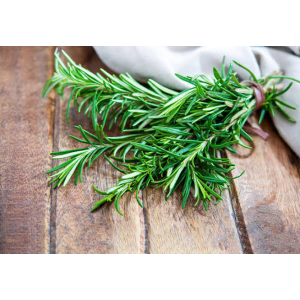 20+ Loose Packed Seed Of Rosemary Herb Seeds Kitchen Garden Use - Image 2
