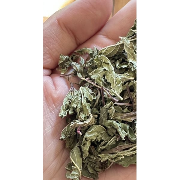 Spearmint Tea For Weight Loss, Hormonal Imbalance, PCOD/PCOS, Acne, And Reduces Facial Hair (Loose  Tea) - 10GMS Small Kraft Pack - Suiro Teas - Image 2