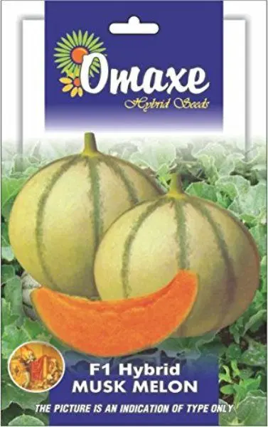 1 Packet Muskmelon Seeds F1 Mithas