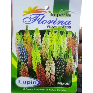 Lupin Pixie Dwarf Mixed Variety 20 Seeds