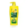 Dabur Vatika Anti-Dandruff Shampoo (650ml)