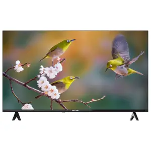 Sensei 32 Inch LED TV
