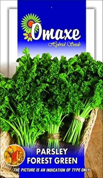 1 Packet Excellent Quality Omaxe Parsley Moss Curled Seeds