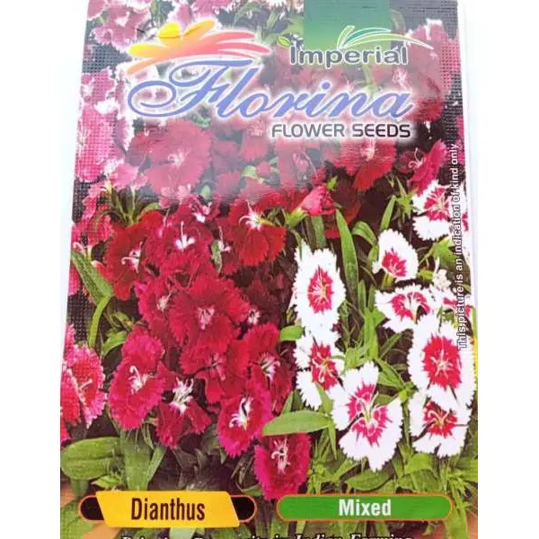 Dianthus Mixed Flower Seeds 40 Plus Seeds - Image 2