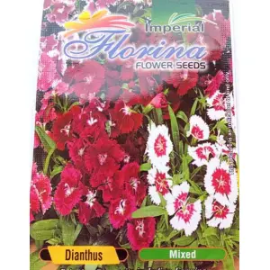 Dianthus Mixed Flower Seeds 40 Plus Seeds