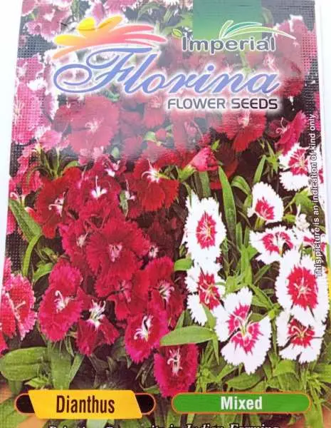 Dianthus Mixed Flower Seeds 40 Plus Seeds