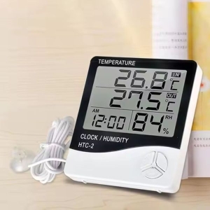 Digital Room Thermometer
