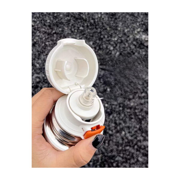 DISNEY/PIXAR Theme Stainless Steel Vacuum Bottle (500ml)