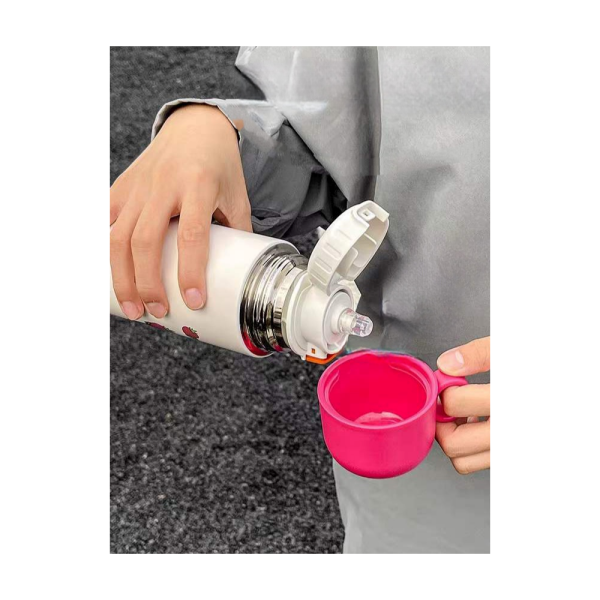 DISNEY/PIXAR Theme Stainless Steel Vacuum Bottle (500ml)